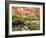 Fall Color in Seattle's Japanese Garden in the Arboretum, Seattle, Washington, Usa-Richard Duval-Framed Photographic Print