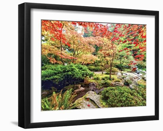 Fall Color in Seattle's Japanese Garden in the Arboretum, Seattle, Washington, Usa-Richard Duval-Framed Photographic Print