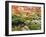 Fall Color in Seattle's Japanese Garden in the Arboretum, Seattle, Washington, Usa-Richard Duval-Framed Photographic Print