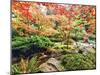 Fall Color in Seattle's Japanese Garden in the Arboretum, Seattle, Washington, Usa-Richard Duval-Mounted Photographic Print