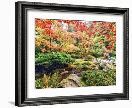 Fall Color in Seattle's Japanese Garden in the Arboretum, Seattle, Washington, Usa-Richard Duval-Framed Photographic Print