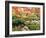 Fall Color in Seattle's Japanese Garden in the Arboretum, Seattle, Washington, Usa-Richard Duval-Framed Photographic Print