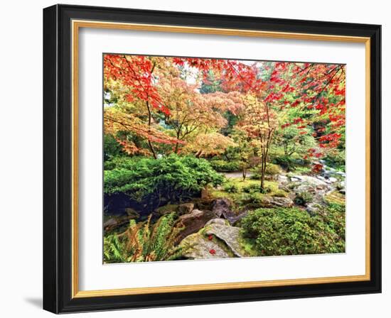 Fall Color in Seattle's Japanese Garden in the Arboretum, Seattle, Washington, Usa-Richard Duval-Framed Photographic Print