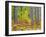 Fall color in the hardwood forest of the Upper Peninsula-Terry Eggers-Framed Photographic Print