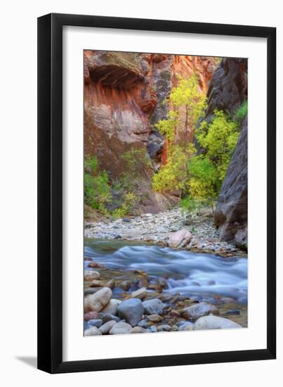 Fall Color in The Virgin Narrows, Southern Utah-Vincent James-Framed Photographic Print