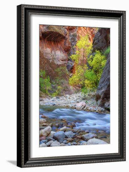 Fall Color in The Virgin Narrows, Southern Utah-Vincent James-Framed Photographic Print