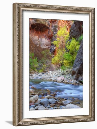Fall Color in the Virgin Narrows-Vincent James-Framed Photographic Print