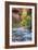 Fall Color in the Virgin Narrows-Vincent James-Framed Photographic Print