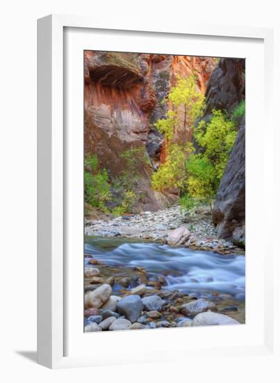 Fall Color in the Virgin Narrows-Vincent James-Framed Photographic Print