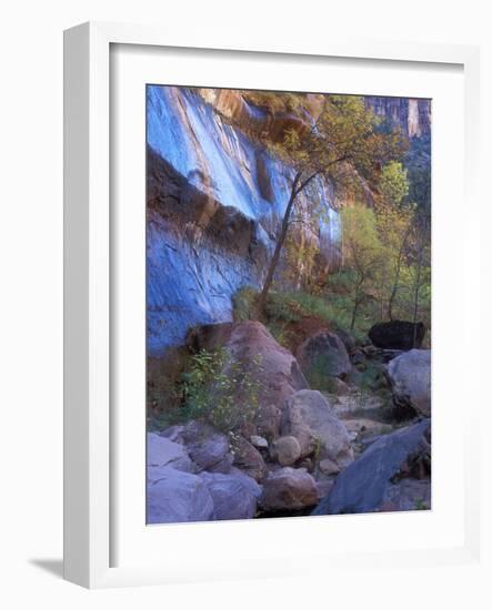 Fall Color in Zion National Park, Utah, USA-Diane Johnson-Framed Photographic Print