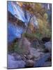 Fall Color in Zion National Park, Utah, USA-Diane Johnson-Mounted Photographic Print