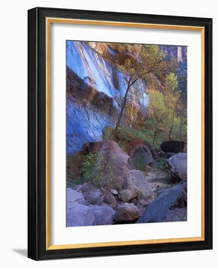 Fall Color in Zion National Park, Utah, USA-Diane Johnson-Framed Photographic Print