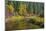 Fall color, Leavenworth National Fish Hatchery, Wenatchee National Forest, WA.-Michel Hersen-Mounted Photographic Print