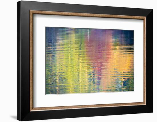 Fall Color Trees Reflected in Rippled Water-Trish Drury-Framed Photographic Print