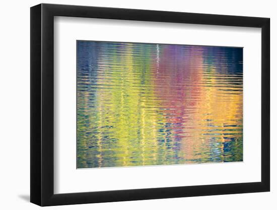 Fall Color Trees Reflected in Rippled Water-Trish Drury-Framed Photographic Print