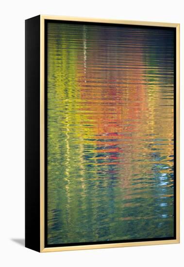 Fall Color Trees Reflected in Rippled Water-Trish Drury-Framed Premier Image Canvas