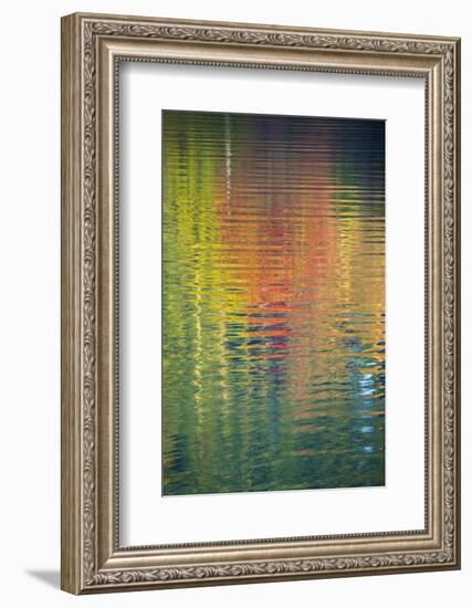 Fall Color Trees Reflected in Rippled Water-Trish Drury-Framed Photographic Print