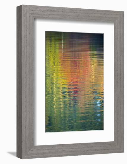 Fall Color Trees Reflected in Rippled Water-Trish Drury-Framed Photographic Print