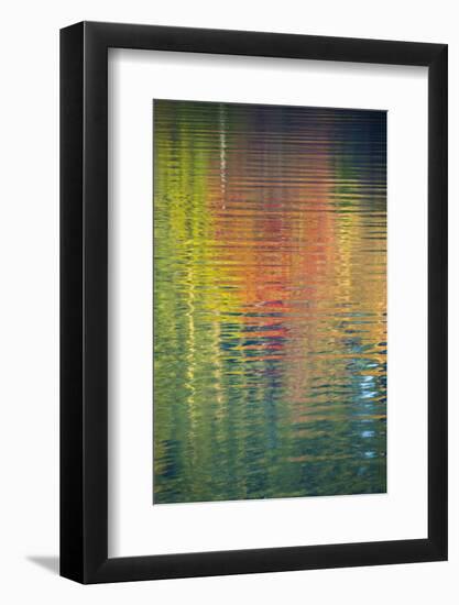 Fall Color Trees Reflected in Rippled Water-Trish Drury-Framed Photographic Print