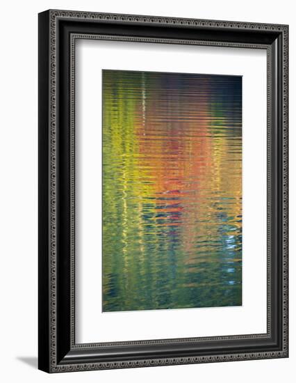 Fall Color Trees Reflected in Rippled Water-Trish Drury-Framed Photographic Print