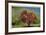 Fall Color-Donald Satterlee-Framed Giclee Print