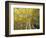 Fall-Colored Aspen Trees, Stevens Pass, Washington, USA-Stuart Westmoreland-Framed Photographic Print