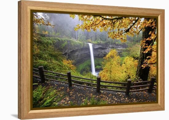 Fall Colors Add Beauty to South Silver Falls, Silver Falls State Park, Oregon-Craig Tuttle-Framed Premier Image Canvas