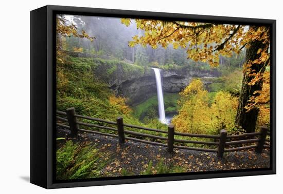 Fall Colors Add Beauty to South Silver Falls, Silver Falls State Park, Oregon-Craig Tuttle-Framed Premier Image Canvas