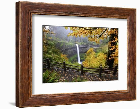 Fall Colors Add Beauty to South Silver Falls, Silver Falls State Park, Oregon-Craig Tuttle-Framed Photographic Print