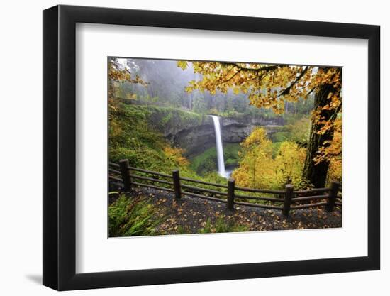 Fall Colors Add Beauty to South Silver Falls, Silver Falls State Park, Oregon-Craig Tuttle-Framed Photographic Print