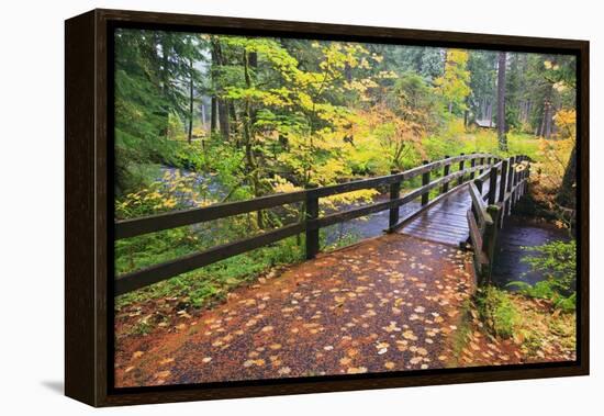 Fall Colors Add Beauty to South Trail at Silver Falls State Park, Oregon, USA-Craig Tuttle-Framed Premier Image Canvas