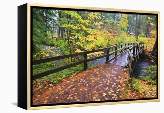 Fall Colors Add Beauty to South Trail at Silver Falls State Park, Oregon, USA-Craig Tuttle-Framed Premier Image Canvas