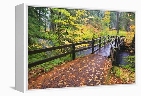 Fall Colors Add Beauty to South Trail at Silver Falls State Park, Oregon, USA-Craig Tuttle-Framed Premier Image Canvas