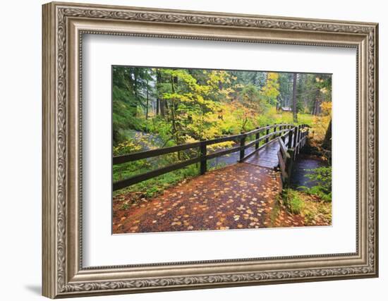 Fall Colors Add Beauty to South Trail at Silver Falls State Park, Oregon, USA-Craig Tuttle-Framed Photographic Print