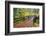 Fall Colors Add Beauty to South Trail at Silver Falls State Park, Oregon, USA-Craig Tuttle-Framed Photographic Print