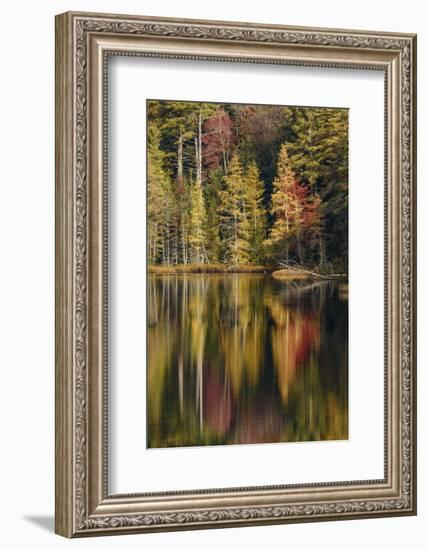 Fall colors along shoreline of Irwin Lake, Hiawatha National Forest, Michigan.-Adam Jones-Framed Photographic Print