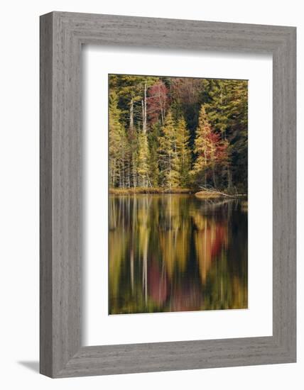 Fall colors along shoreline of Irwin Lake, Hiawatha National Forest, Michigan.-Adam Jones-Framed Photographic Print