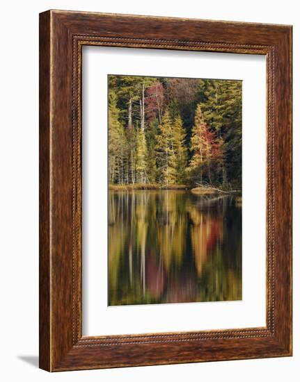 Fall colors along shoreline of Irwin Lake, Hiawatha National Forest, Michigan.-Adam Jones-Framed Photographic Print