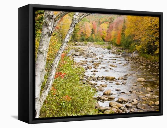 Fall Colors Along the Swift River in Maine's Northern Forest, Byron, Maine, Usa-Jerry & Marcy Monkman-Framed Premier Image Canvas