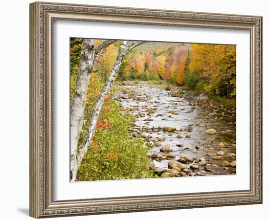 Fall Colors Along the Swift River in Maine's Northern Forest, Byron, Maine, Usa-Jerry & Marcy Monkman-Framed Photographic Print