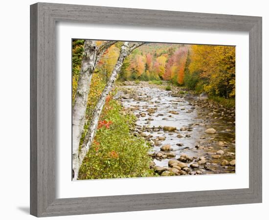 Fall Colors Along the Swift River in Maine's Northern Forest, Byron, Maine, Usa-Jerry & Marcy Monkman-Framed Photographic Print