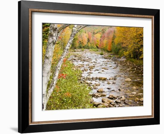 Fall Colors Along the Swift River in Maine's Northern Forest, Byron, Maine, Usa-Jerry & Marcy Monkman-Framed Photographic Print