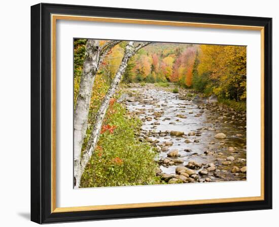 Fall Colors Along the Swift River in Maine's Northern Forest, Byron, Maine, Usa-Jerry & Marcy Monkman-Framed Photographic Print