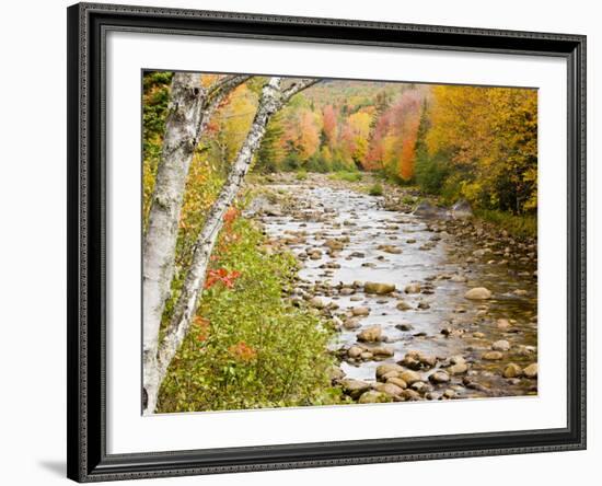 Fall Colors Along the Swift River in Maine's Northern Forest, Byron, Maine, Usa-Jerry & Marcy Monkman-Framed Photographic Print