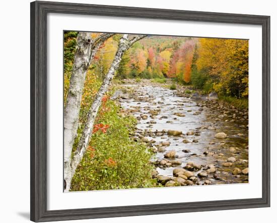 Fall Colors Along the Swift River in Maine's Northern Forest, Byron, Maine, Usa-Jerry & Marcy Monkman-Framed Photographic Print