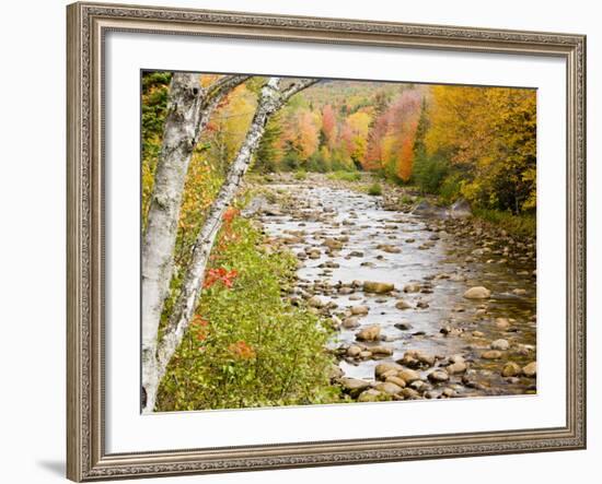 Fall Colors Along the Swift River in Maine's Northern Forest, Byron, Maine, Usa-Jerry & Marcy Monkman-Framed Photographic Print