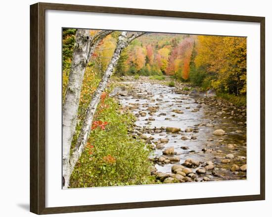 Fall Colors Along the Swift River in Maine's Northern Forest, Byron, Maine, Usa-Jerry & Marcy Monkman-Framed Photographic Print