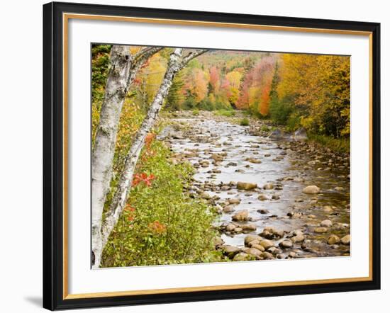 Fall Colors Along the Swift River in Maine's Northern Forest, Byron, Maine, Usa-Jerry & Marcy Monkman-Framed Photographic Print