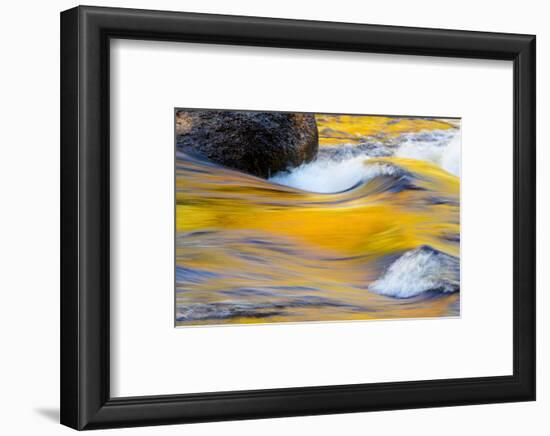 Fall Colors Along the Swift River in New Hampshire's White Mountain NF-Jerry & Marcy Monkman-Framed Photographic Print