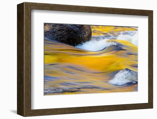 Fall Colors Along the Swift River in New Hampshire's White Mountain NF-Jerry & Marcy Monkman-Framed Photographic Print